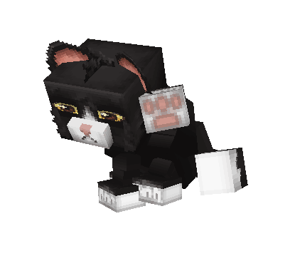 Анимированный чёрно-белый кот-смокинг с жёлтыми глазами умывается