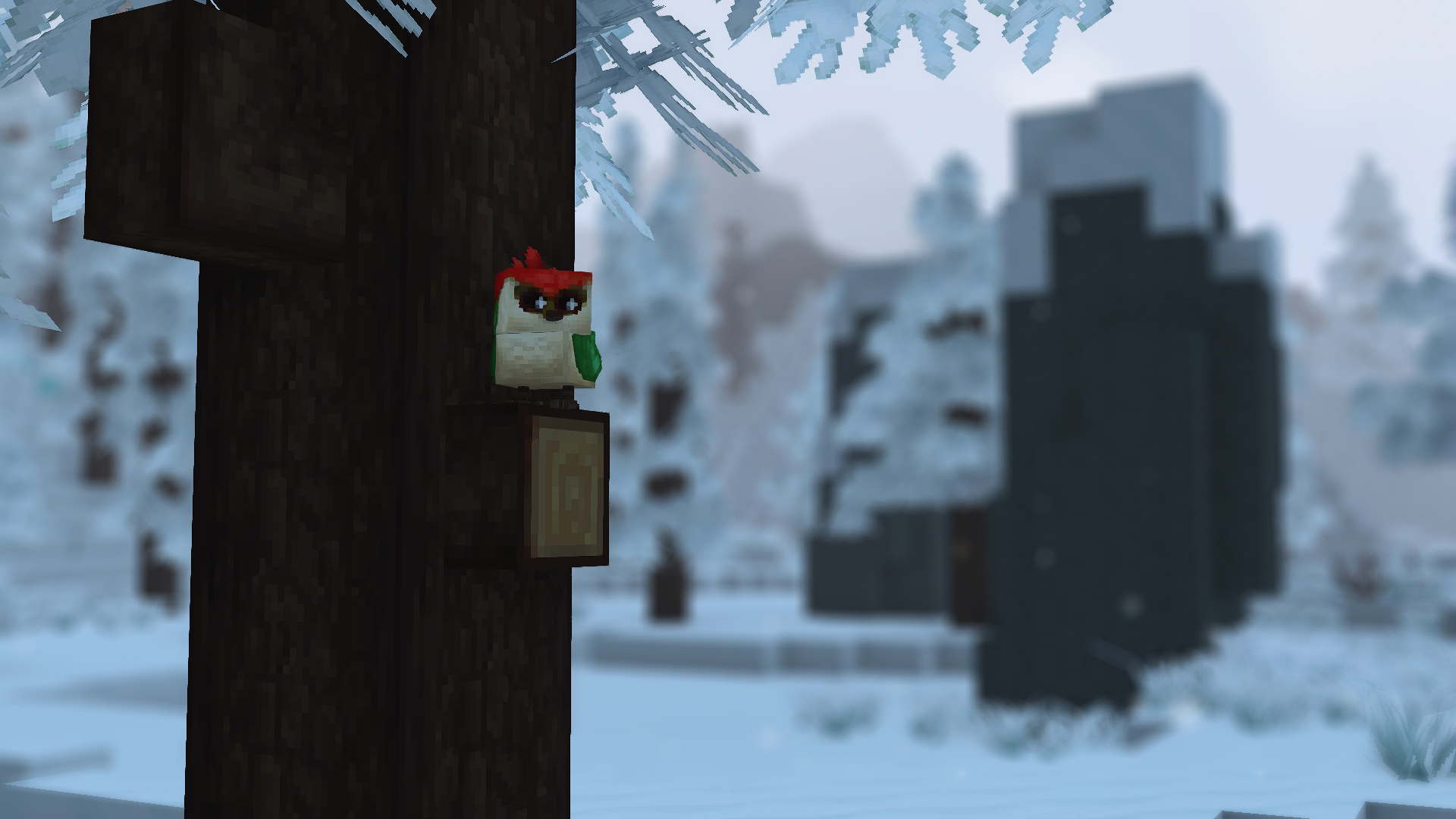 Красно-чёрный дятел на заснеженной ветке сосны в Зоне 3 (Zone 3)