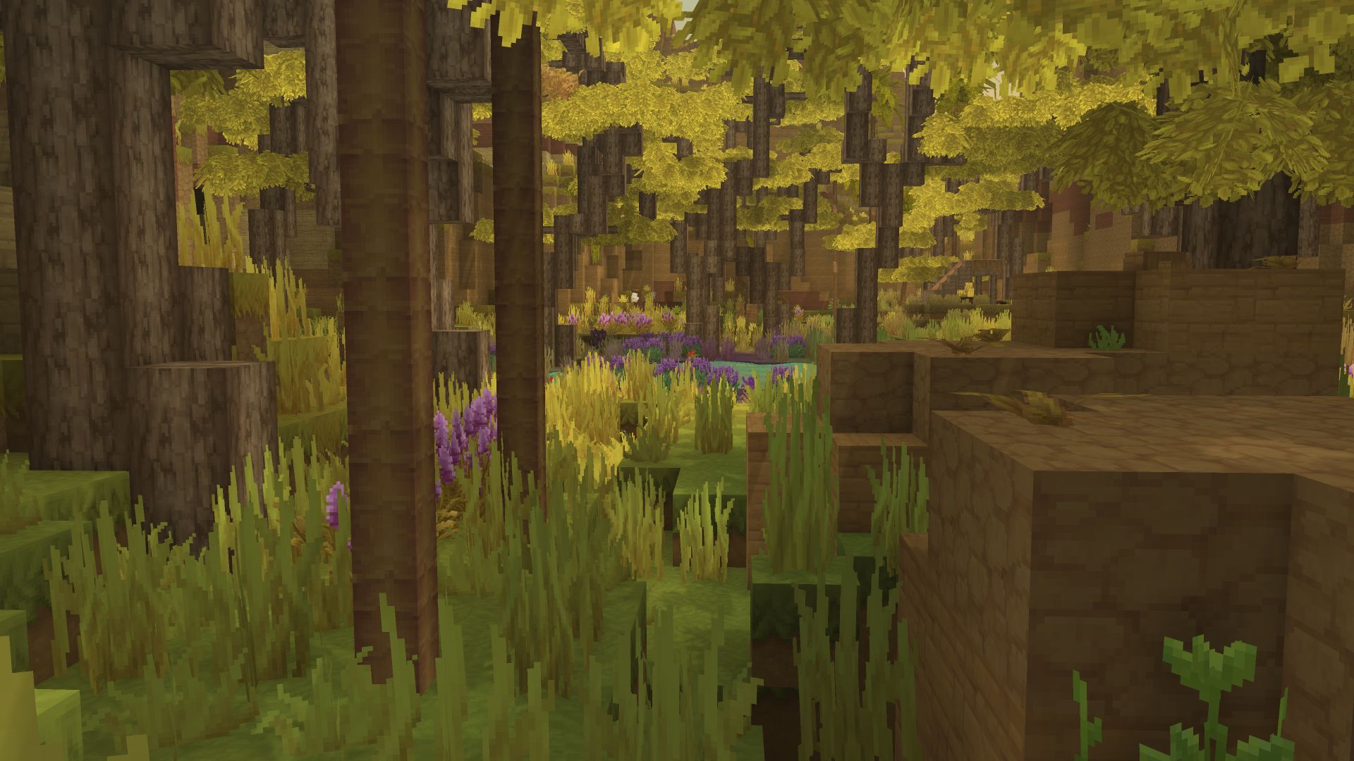 Крупный план лагуны оазиса с пышной растительностью на фоне пустыни