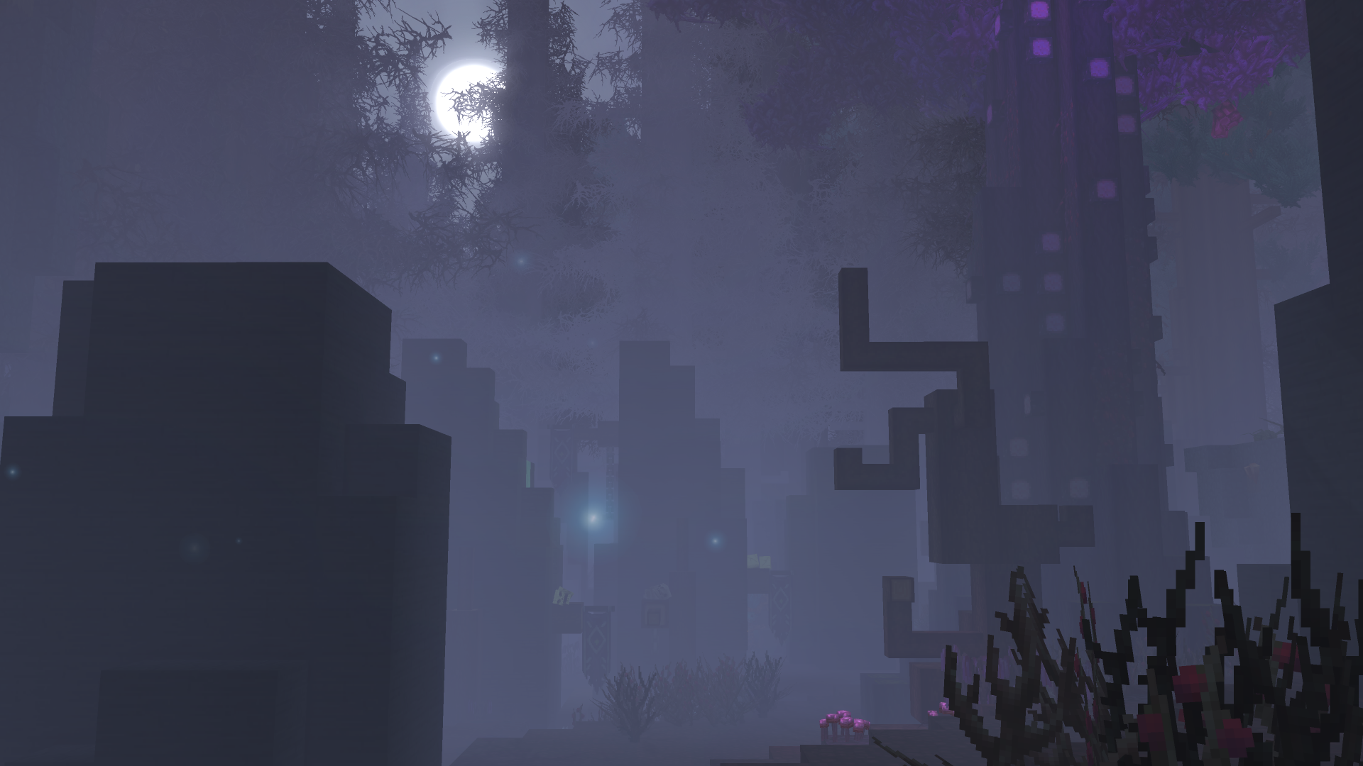 Тёмный лес, затронутый злой магией, с жуткой атмосферой